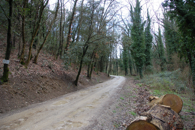 Un giretto tra le quercie